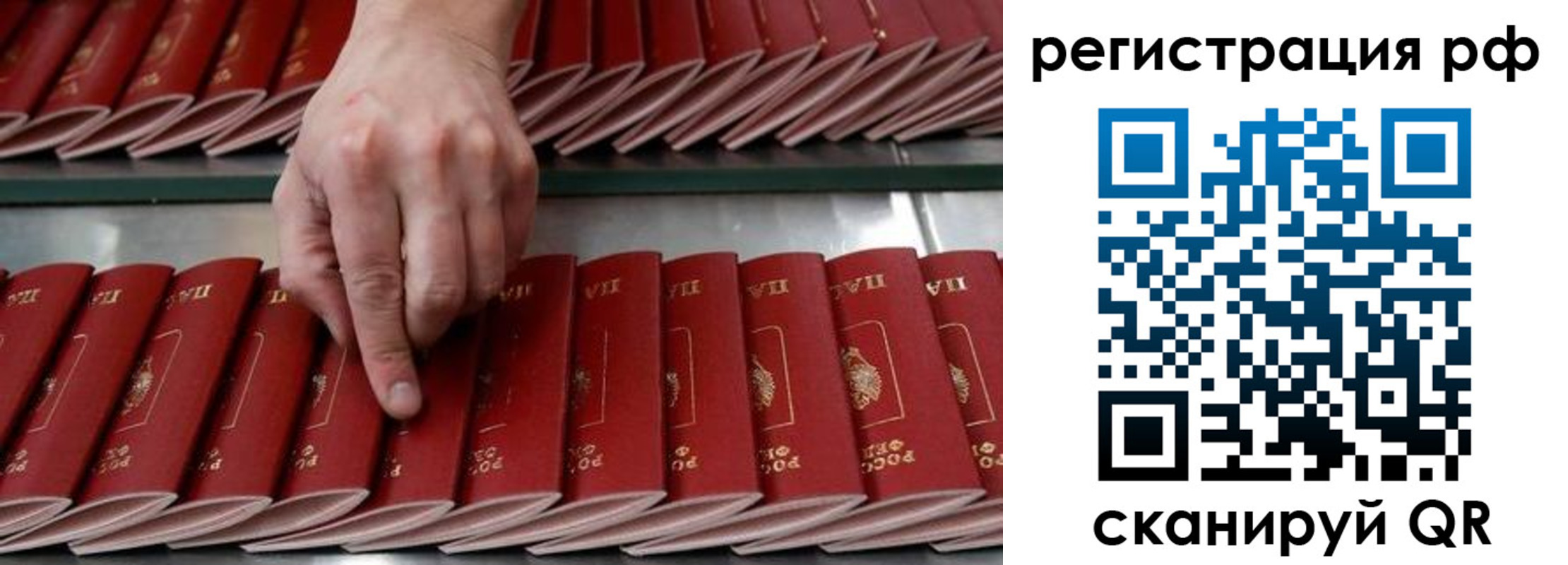 временная регистрация поиск в Брянске